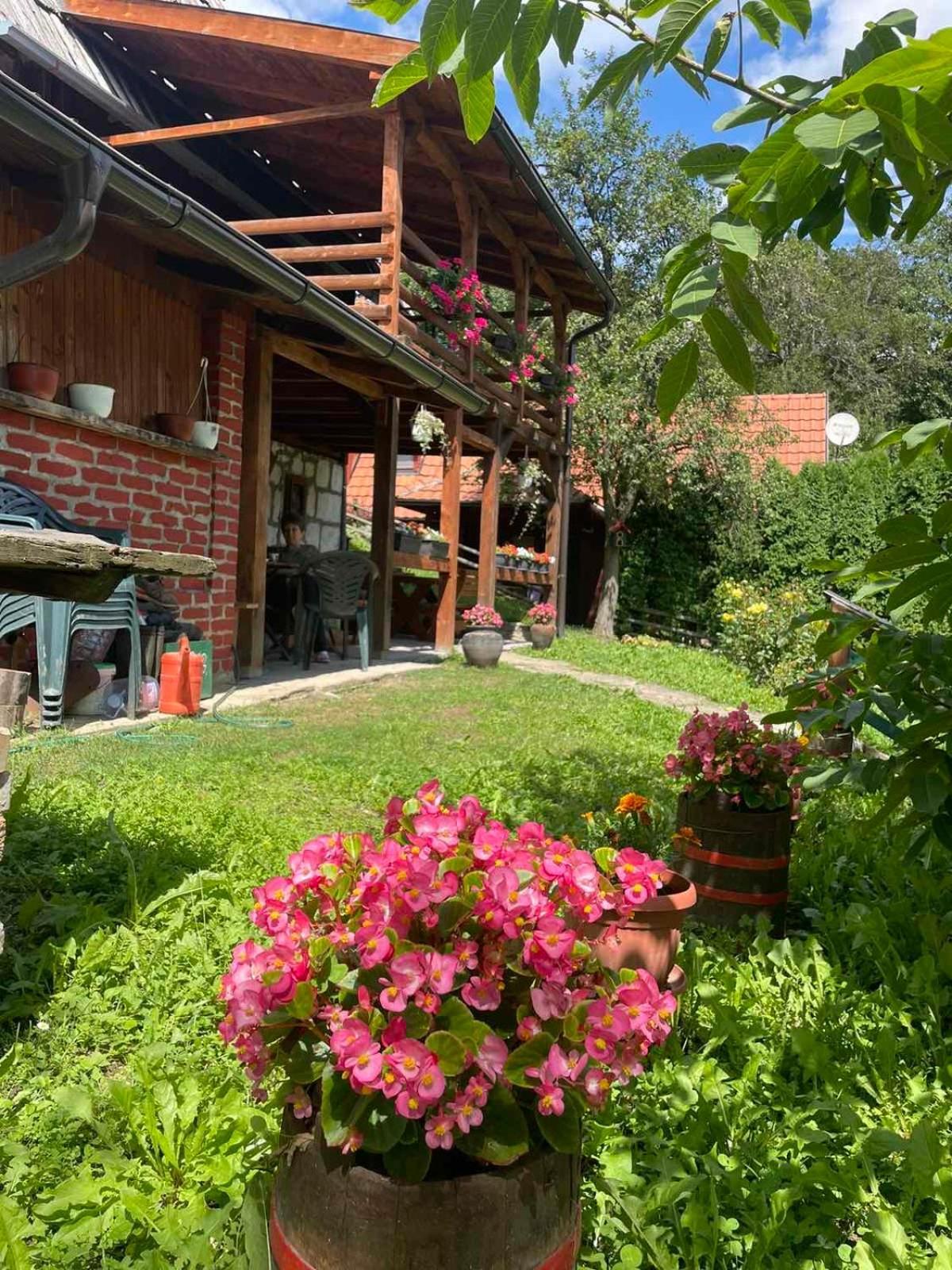 Dedina Kuca 1937 Apartment Mokra Gora Exterior photo
